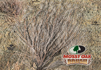 Mossy Oak Brush