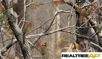 RealTree AP