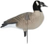 Avery GHG RealMotion Kit 6-Pack (71193)