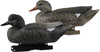 Avery Life-Size Gadwalls Duck Decoys 6-Pack (73045)