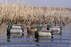 Avery Pro-Grade Mallards Duck Decoys Active 6-Pack (73103)