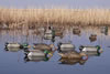 Avery Pro-Grade Mallards Duck Surface Feeder Decoys 6-Pack (73109)