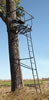 Big Game Ultra-View DX Ladder Stand (CR3901-S)