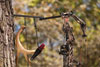 Big Game Multi-Hanger 3 Pack (CR94-V3)