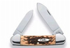 Case Canoe Amber Bone Spear/Pen Folding Knife w/Plain Edge (00263)