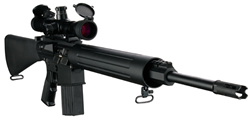 DPMS Panther LR 243 Semi Auto Tactical Rifle RFLR 243 243 Winchester 20 Standard A2 Black Zytel MilSpec Stock Anodized Black Teflon Finish