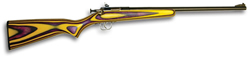 Crickett 22 LR Rifle 256, 16.125", Laminate Stock, Blue Finish
