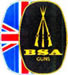 BSA Guns