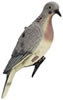 Edge Expedite Clip On Dove Decoy 4 Pk 814185