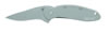 Kershaw Scallion Drop Point Folder Knife w/Partially Serrated Edge & Stainless Handl 1620FL