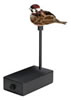 Edge Expedite 430064 Prowler Bait w/Digital Caller