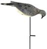 Edge Expedite 536087 4-Pack-O-Feeders Dove Decoys w/Ground Stakes