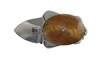 Columbia River Ashworth Turtle Knife w/Polished Frame/Golden Brown Scale 5910G