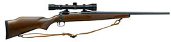 Savage Model 10GYXP3 Youth Rifle Package 17862 243 Winchester 22 in Bolt Action Hardwood Stock Blue Finish w Scope 4 Rds