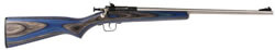 Crickett Single Shot Bolt Action Rifle 223, 22 LR, 16 1/8", Blue Lam Stock, Stainless Steel Finish