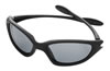 Champion Shooting Glasses w/Full Black Frame/Smoke Lens (40600)