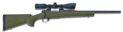 22-250 Remington, 20 in, Green Synthetic Stock, Blue Finish, w/Scope