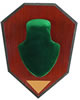 Allen 562 Antler Mounting Kit Green