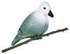 Flambeau Foam Dove Decoy 5935FD, 6 PK