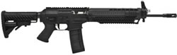 Sigarms 556 Semi Auto Rifle SIG556014, 223 Rem/5.56 Nato, 16 in, ??? Stock, Black Finish, 30 Rd