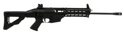 Sig 556 Classic Swat 522 Swat R556F16BSPSE 223 Remington 5 56 NATO 16 in Collapsible Stock Black Finish