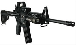 DPMS Panther The Agency Panther Carbine RFA2ACAR, 223 Remington/5.56 NATO, 16 in, Fiber Reinforced Polymer Stock, Black Finish
