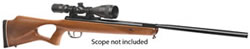 Benjamin Sheridan Trail NP Hardwood 22 Caliber Air Rifle (BT9M22WNP)