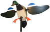 Mojo Mallard Drake Decoy (HW2107)