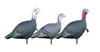 Feather Flex 2 Jakes & 1 Hen Decoy (SF00857)