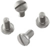Hogue Stainless Slotted Grip Screws 45018