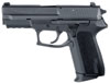 Sig 2022 Pistol Pistol E20229B, 9mm, 3.9 in, Black Synthetic Grip, Black Finish, Contrast Sights, 15 Rd
