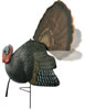 Primos 69021 Killey B Turkey Decoy