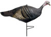 Primos 69061 She Mobile Turkey Decoy