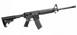 Delton Semi-Auto Rifle DTIGRFTM16, 223 Remington, 16 in, Collapsible Stock, Black Finish, 30 Rd