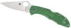 Spyderco Delica 4 Green Handle Clip Point Folding Knife w/Plain Edge (C11PGRE)