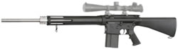 Armalite AR10 Rifle 10TBNF260, 260 Remington, 22 in, A2 Buttstock, Black/Stainless Finish