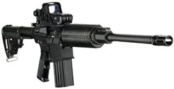 DPMS Panther Oracle AR-10 Rifle RFLROC, .308 Winchester, 16 in, Collapsible Stock, Black Finish