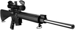 DPMS Panther LR 260 Rifle RFLR260, 260 Remington, 24 in, A2 Style Stock, Black Finish