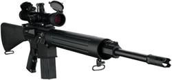 DPMS Panther LR 260H Rifle RFLR260H, 260 Remington, 20 in, A2 Style Stock, Black Finish