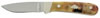 Ka-Bar Traditional Dogs Head Trailing Point Hunter Drop Point Fixed Knife w/Straight Edge (8576)
