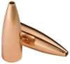 Speer 22 Caliber 55 Grain TNT Hollow Point Bullets 100 Per Box (1032), Not Loaded