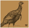 Birchwood Shoot-N-C Turkey Silhouette Kit 4-Pack (34364)