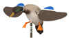 Mojo Decoys HW1001 6 Volt Mallard Drake Decoy