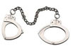 Smith & Wesson Nickel Leg Irons 350121