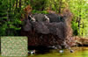 Camo Unlimited Basic UL Camouflage Netting LW04B, 7 10"X 19 8"