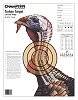 Champion 45780 Lifesize Turkey Practice Target 12 Pack