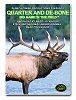 Outdoor Edge Quarter/Debone Big Game In The Field Instructional DVD (QD101)