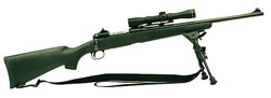 Savage 10FCM Scout Hunter Rifle 18138, 308 Win, 20", Bolt Action, Black Syn Stock, Blue Finish, DBM, 4 Rds