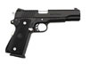 Para PXT High Capacity Single Action Pistol PX1445RBH, 45 ACP, 5", Black Synthetic Grip, Alloy Regal Finish, 14 Rd