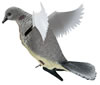 Edge Expedite 479070  Flapping Dove-N-Air Decoy